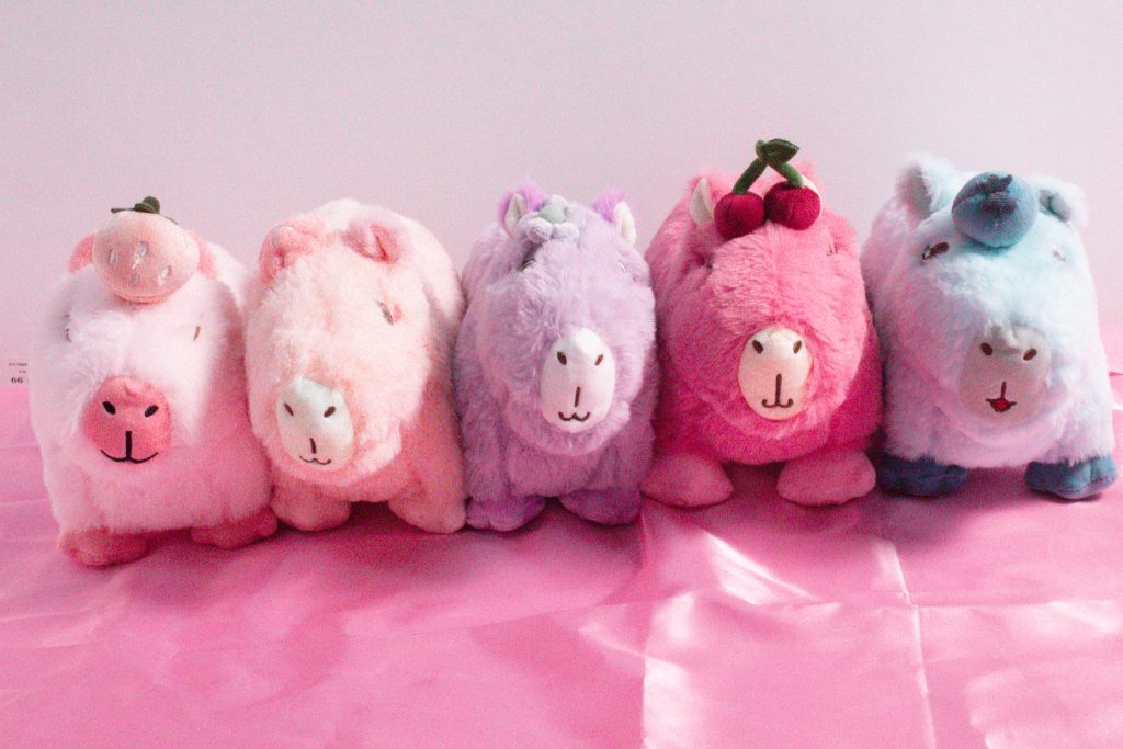 Capyera: The Cutest Capybara Plushies