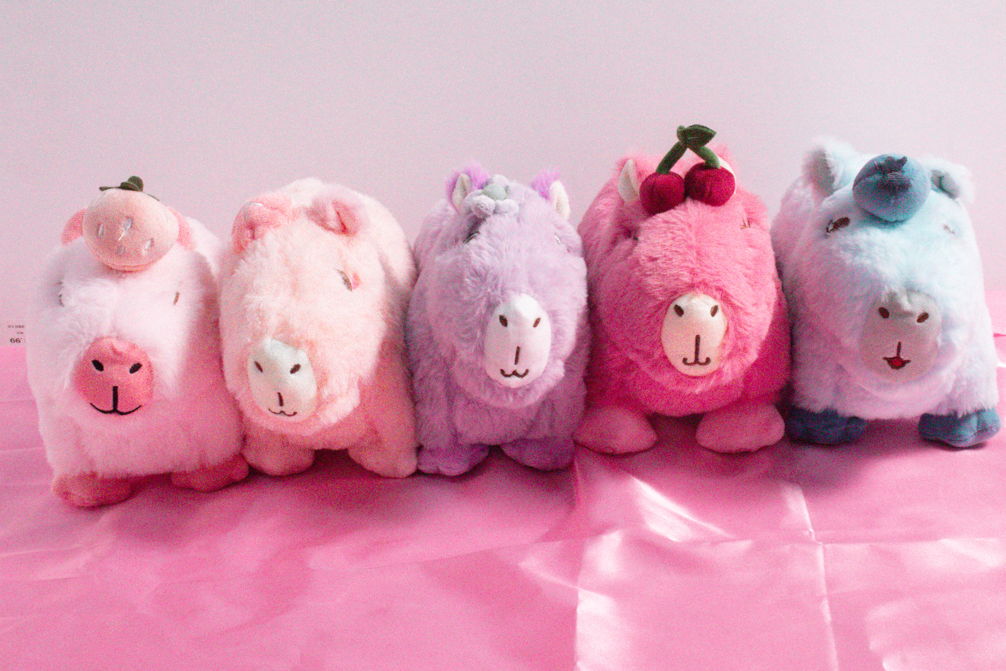 Capyera: The Cutest Capybara Plushies