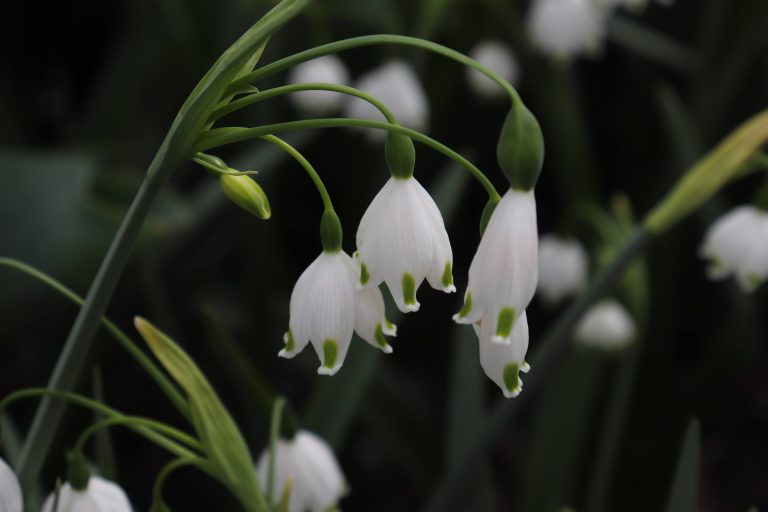 Life Lately: Notes from a Slower, Softer Season